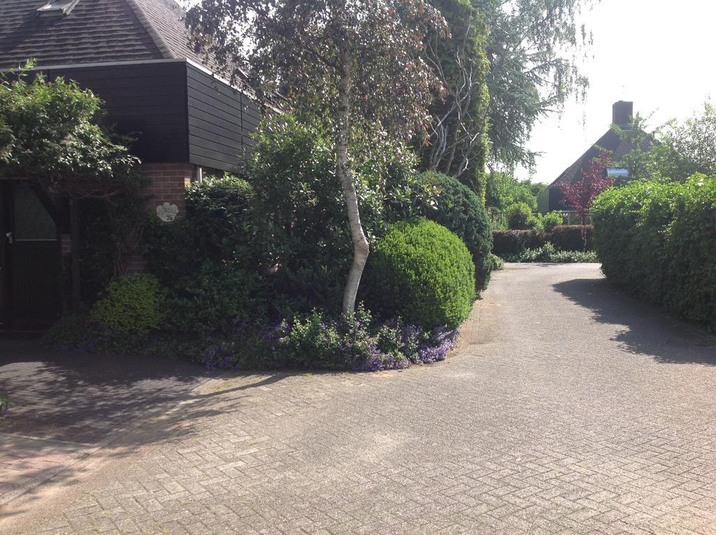 B&B Molenzicht Warnsveld Extérieur photo